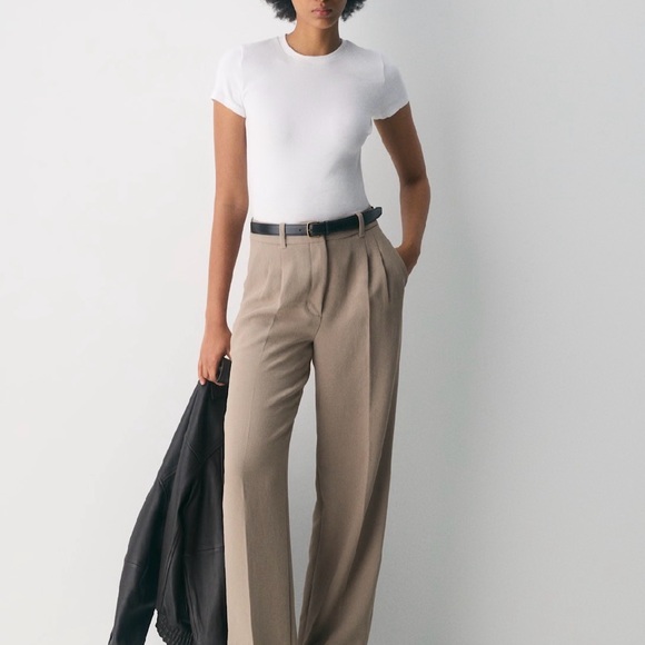 Aritzia Pants - Aritzia The Effortless Plant Pleated High-Waist Wide-Leg Pants in Taupe